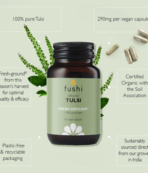 Organic Tulsi (Holy Basil) 60 vegan capsules - Image 2