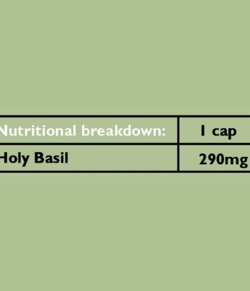 Organic Tulsi (Holy Basil) 60 vegan capsules - Image 3