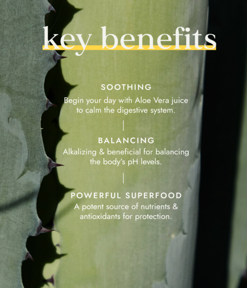 Organic Aloe Vera Juice 500ml - Image 3